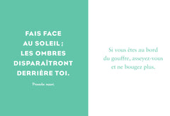 Le petit livre de l'optimisme