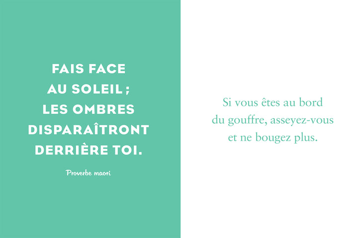 Le petit livre de l'optimisme