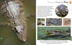 Les crocodiles