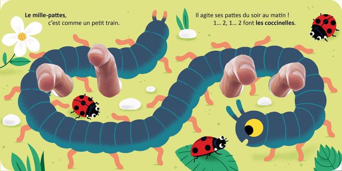 Drôles de doigts - Les bébêtes dans l'herbe