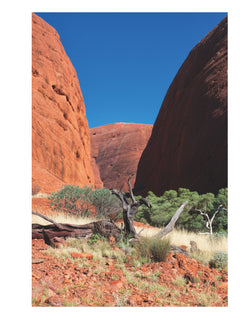 Australie aborigène