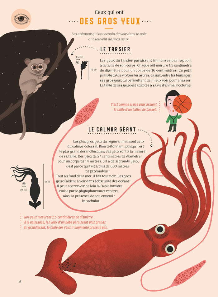 Même pas bêtes ! Les 5 sens