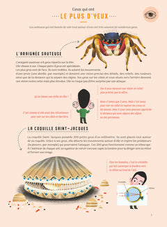 Même pas bêtes ! Les 5 sens