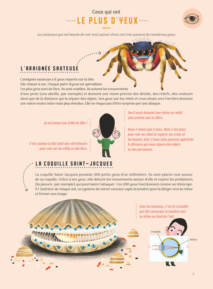 Même pas bêtes ! Les 5 sens