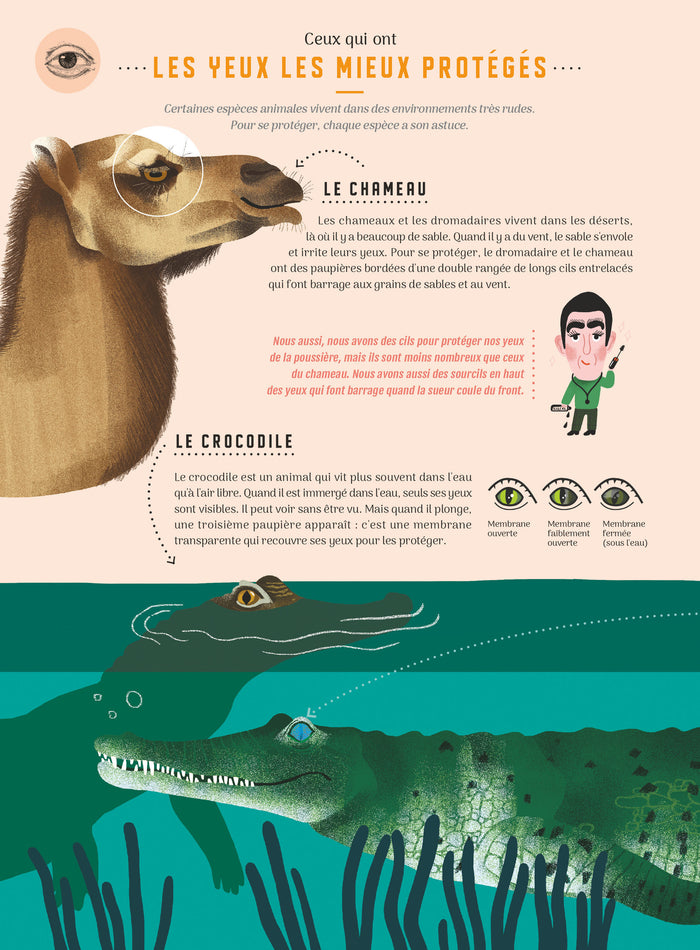 Même pas bêtes ! Les 5 sens