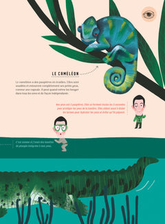 Même pas bêtes ! Les 5 sens