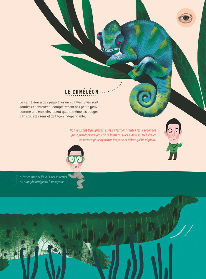 Même pas bêtes ! Les 5 sens