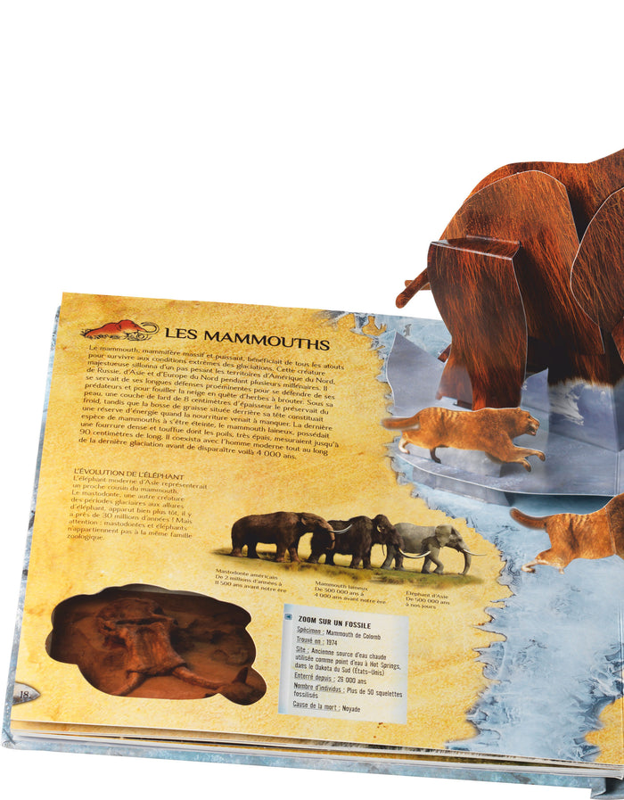 La préhistoire au temps de l'âge de glace