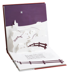 Une étoile dans la nuit