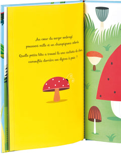 Qui se cache là ?