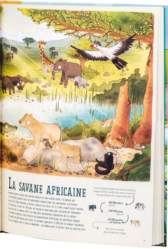 L'extraordinaire aventure des animaux