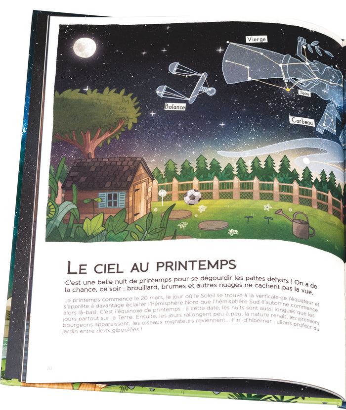 Le chat qui aimait le ciel et les étoiles