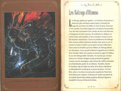 Atlas illustré de Tolkien