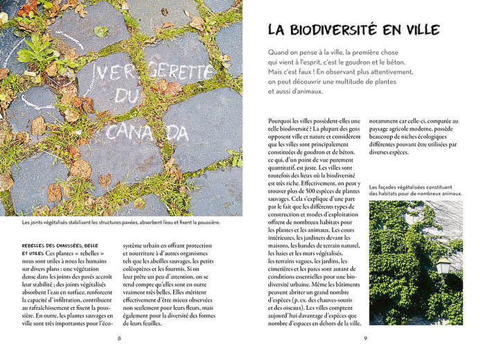 Qu'est-ce qui pousse dans ma rue ?