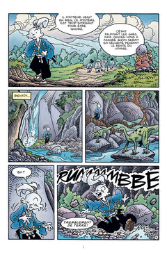 USAGI YOJIMBO comics - Tortues Ninja