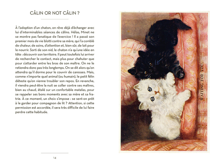 Le petit livre des chatons