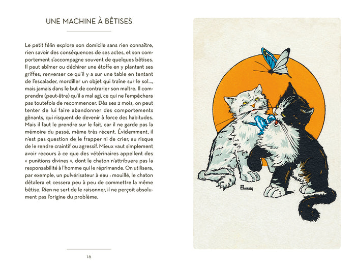 Le petit livre des chatons