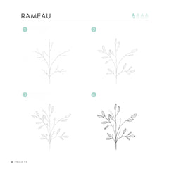 Dessins en 5 étapes