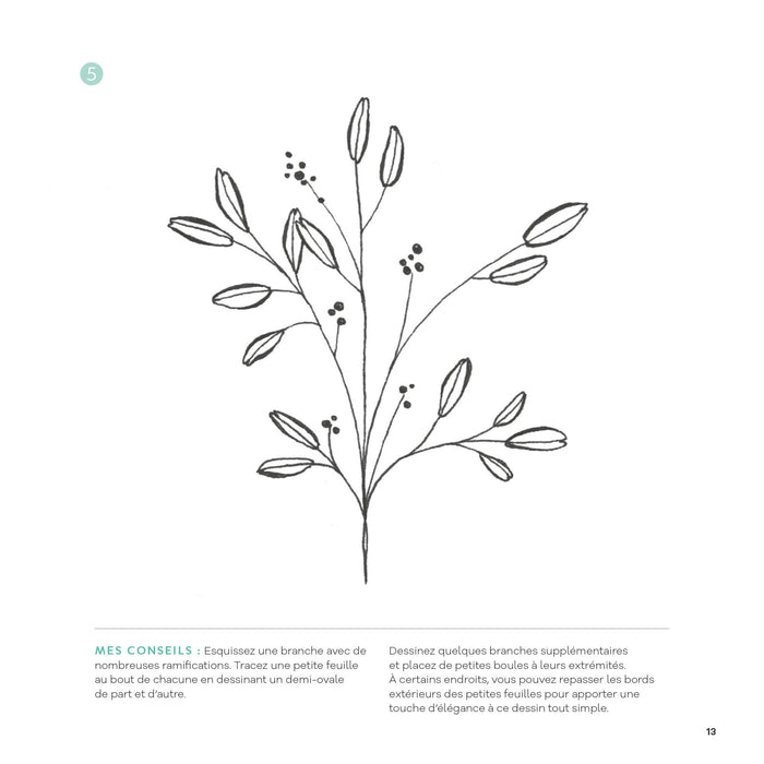 Dessins en 5 étapes