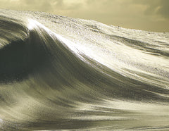Surfer: En quête de la photo ultime