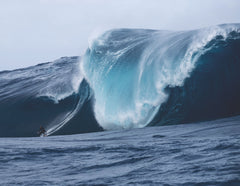 Surfer: En quête de la photo ultime