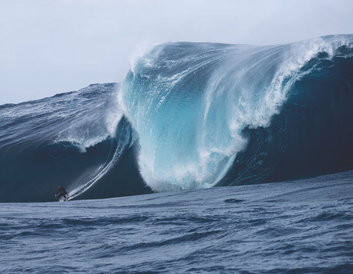 Surfer: En quête de la photo ultime