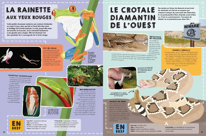 Le guide des animaux