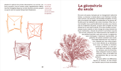 Une mathématicienne au jardin