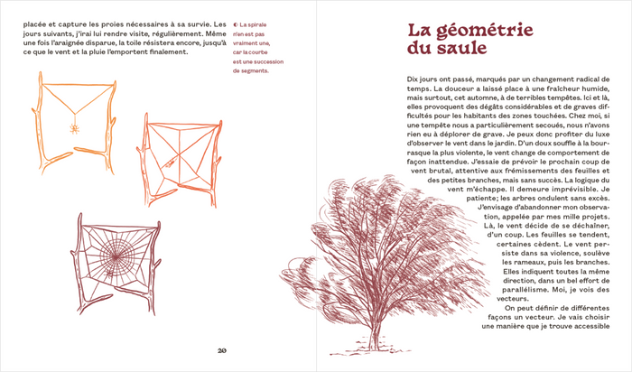 Une mathématicienne au jardin