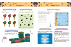 Cahier de vacances Larousse (adultes) spécial JEUX DE LOGIQUE