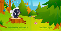 DISNEY BABY - Où te caches-tu, Panpan ? - Avec des volets à soulever