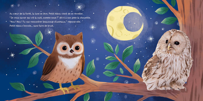Petit hibou découvre la nuit