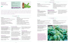 Mes 30 huiles essentielles incontournables