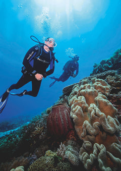 Corail