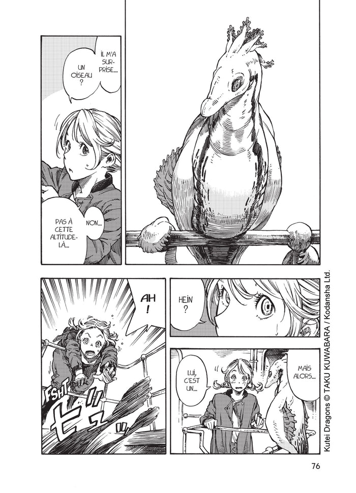 Drifting Dragons T01