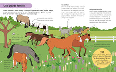 Je commence l'équitation