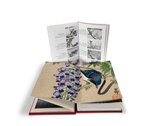 Les oiseaux par les grands maîtres de l'estampe japonaise (coffret)