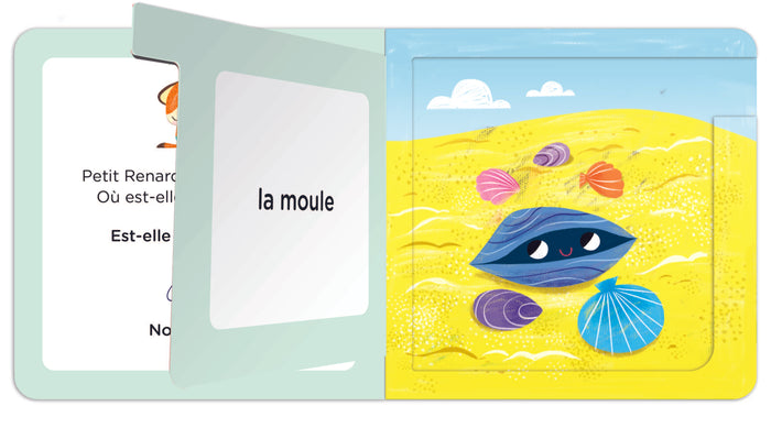 Qui se cache à la mer ? - Les devinettes de Petit Renard