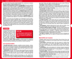 Guide du Routard Nice 2020/21