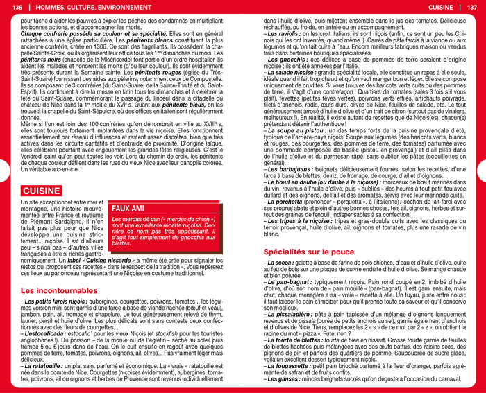 Guide du Routard Nice 2020/21