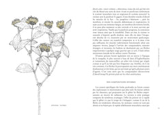 les vertus des plantes