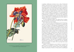 les vertus des plantes