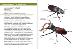 Les petits livres de la nature - Coléoptères