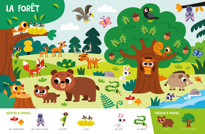 Le Cherche et Touche de mes 2 ans : la nature – Un grand cherche-et-trouve avec des matières à toucher – Dès 2 ans