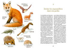 Créer un jardin vivant - Accueillir la biodiversité et s'allier à la faune sauvage