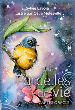 Parcelles de vie - Cartes Oracle