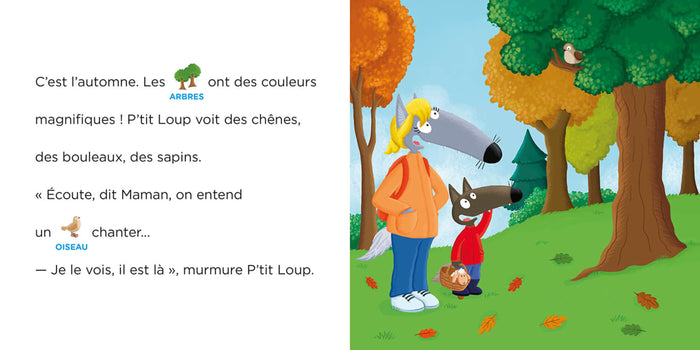 P'tit loup se balade en forêt