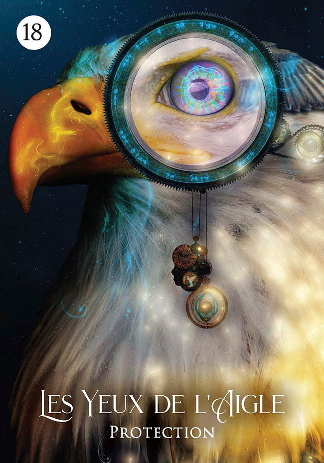 Le rêve du chaman - Cartes oracle