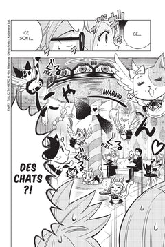 Fairy Tail - City Hero T01