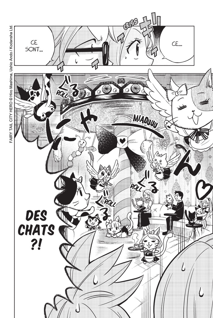 Fairy Tail - City Hero T01